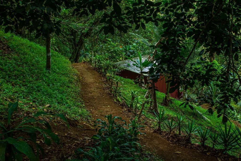 Cabana Con Piscina Венесия Экстерьер фото